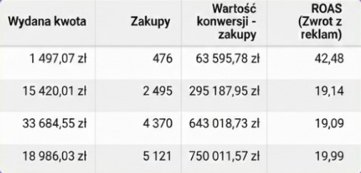 Wyniki Meta Ads - zyskowne lejki reklamowe